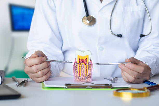Urgent Tooth Repair in KS